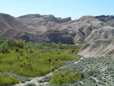 China Ranch Date Farm