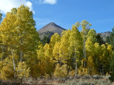 Eastern Sierra Aspen Ride - 2011