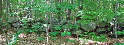 rock wall.jpg