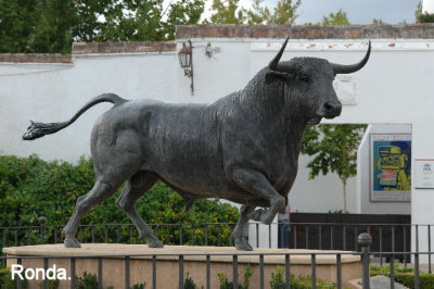 Al Toro de Lidia. Ronda, Spain.