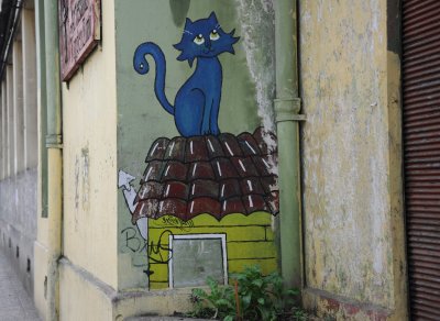 gato azul.jpg
