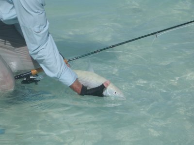 Catch and release-Bonefishing Kiritimati