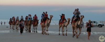 Raw00464 Cable beach camels.jpg
