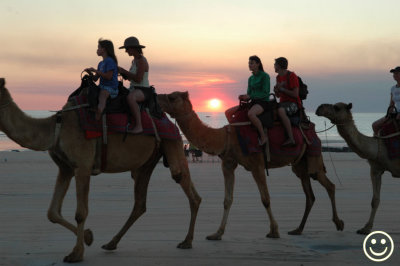 Raw00486 camels at sunset.jpg