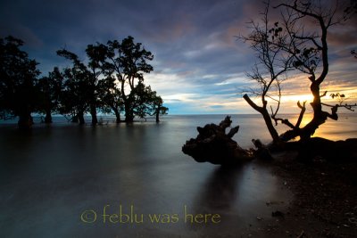 20110601-TTE_015905L.jpg