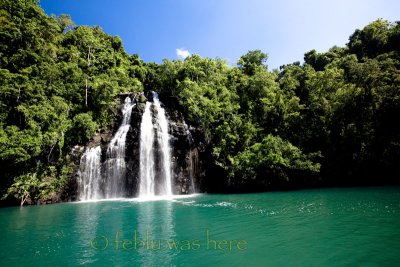 20110603-TTE_016357L.jpg