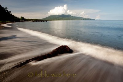 20110604-TTE_016652L.jpg
