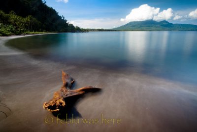 20110604-TTE_016670L.jpg