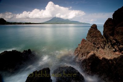 20110604-TTE_016707L.jpg