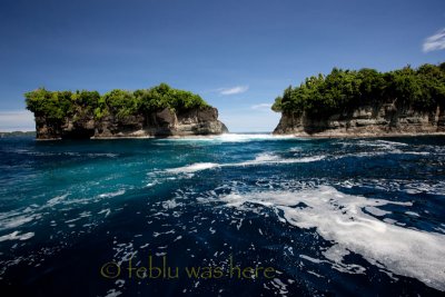 20110603-TTE_016407L.jpg