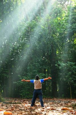 Ray of Light