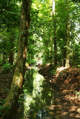Green River