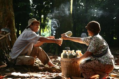 Traditional Medicine