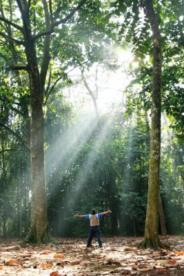 Ray Of Light 2