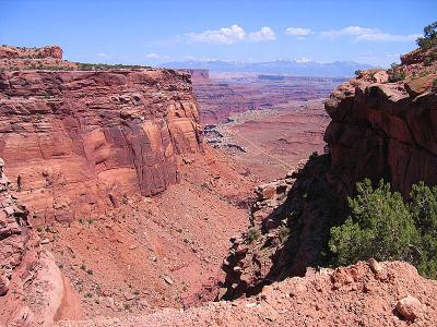 White Rim Trail