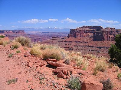 White Rim Trail