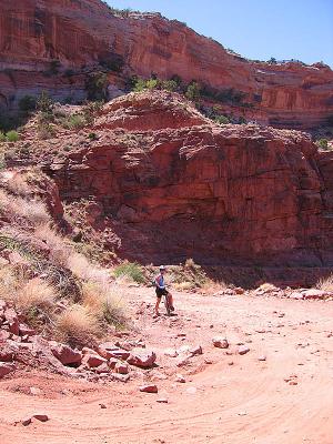 White Rim Trail