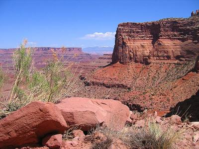 White Rim Trail