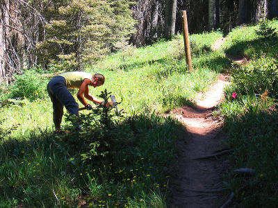 Trails 2000 - Colorado Trail Weekend