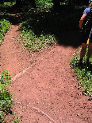 Trails 2000 - Colorado Trail Weekend
