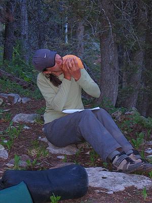 Trails 2000 - Colorado Trail Weekend