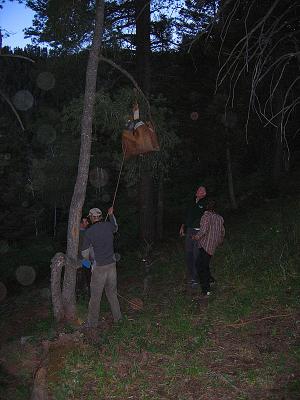 Trails 2000 - Colorado Trail Weekend