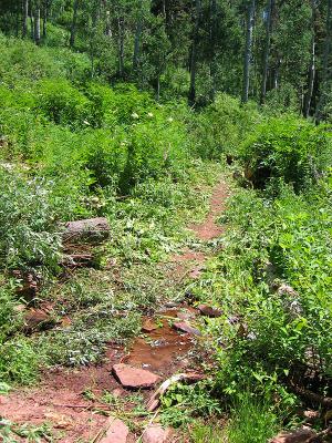 Trails 2000 - Colorado Trail Weekend