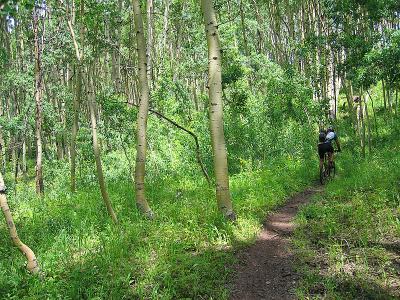 Dyke Trail