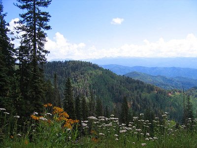 Junction Creek Rd to South Fork to Hermosa Creek