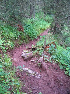 Junction Creek Rd to South Fork to Hermosa Creek