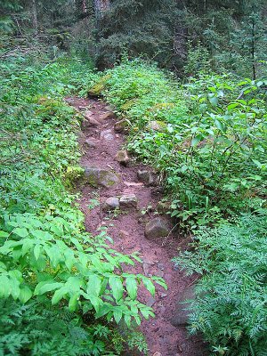 Junction Creek Rd to South Fork to Hermosa Creek