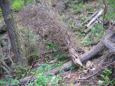 Junction Creek Rd to South Fork to Hermosa Creek
