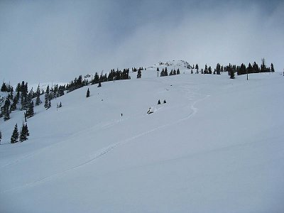 sj_back_19_86.jpg
