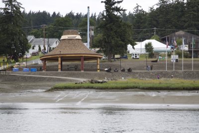 _MG_2065_Swinomish_726_11.JPG