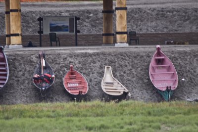 swinomish