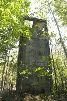 _MG_2344_Concretey_7_28_11.JPG