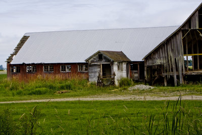 _MG_2116_Barns_7_29_11.JPG
