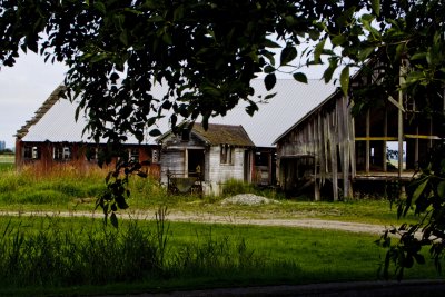 _MG_2117_Barns_7_29_11.JPG