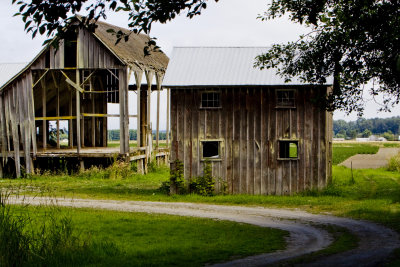 _MG_2118_Barns_7_29_11.JPG
