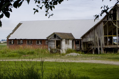 _MG_2121_Barns_7_29_11.JPG