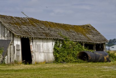 _MG_2127_Barns_7_29_11.JPG