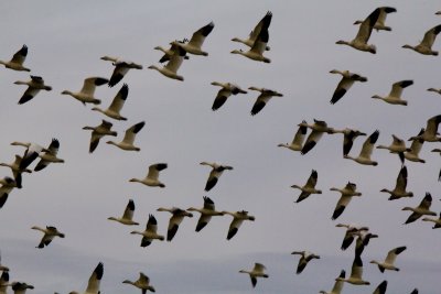 20120101-IMG_0281.jpg