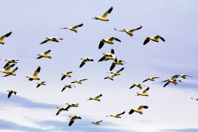 20120101-IMG_0296.jpg
