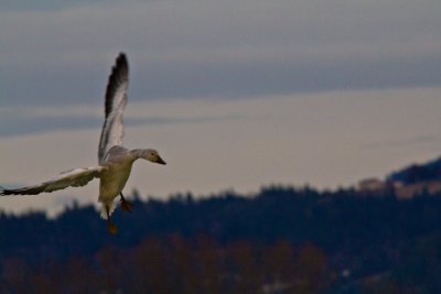 20120101-IMG_0324.jpg