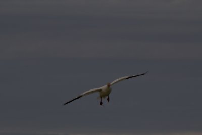 20120101-IMG_0335.jpg