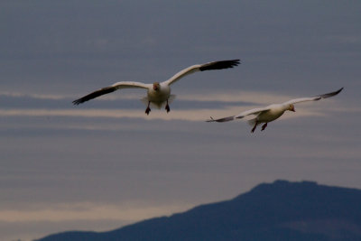 20120101-IMG_0337.jpg