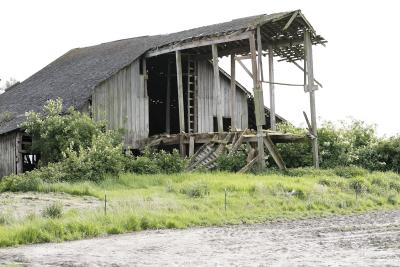 Old Barn.jpg