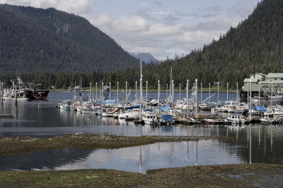 50th_hs_reunion_scenic