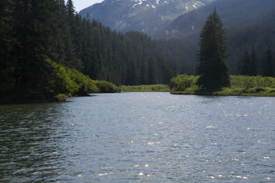 g4/80/343280/3/63315085.JYvT85se.jpg
