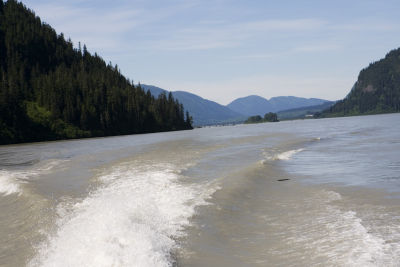 g4/80/343280/3/63315093.yWb6UgqK.jpg
